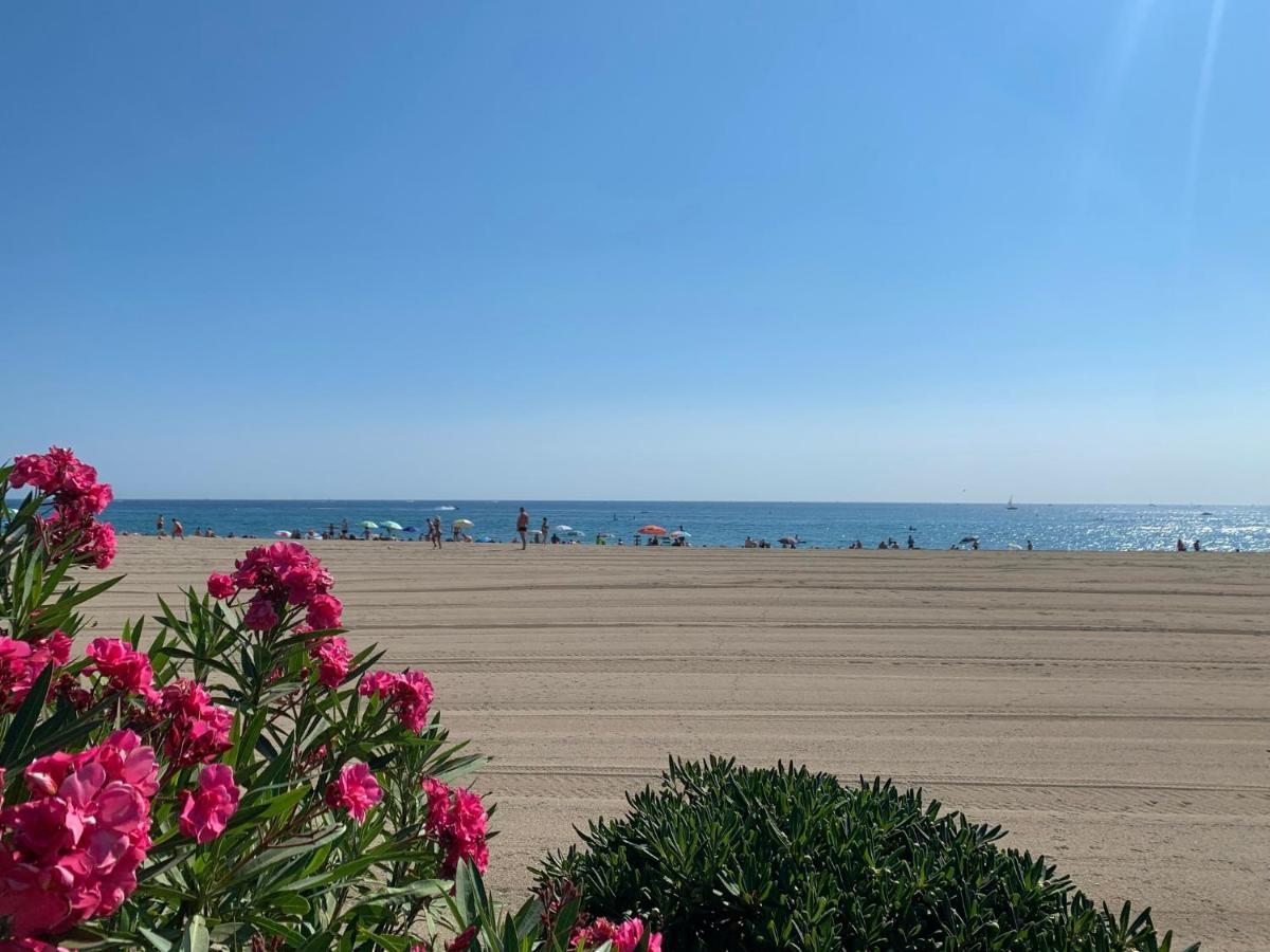 Superbe Appartement Neuf Entre Mer Et Pins Wifi Argelès-sur-Mer Exterior foto